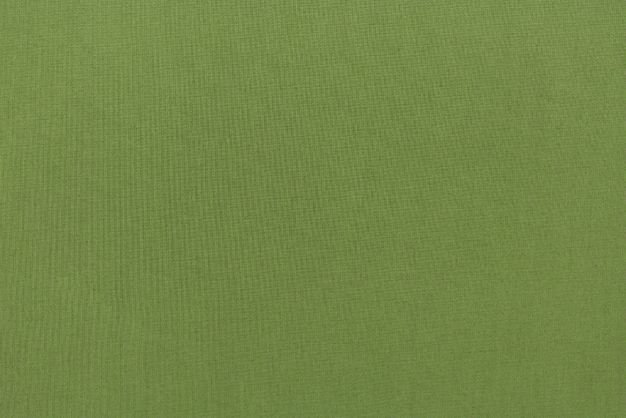 Sunbrella Spectrum Cilantro