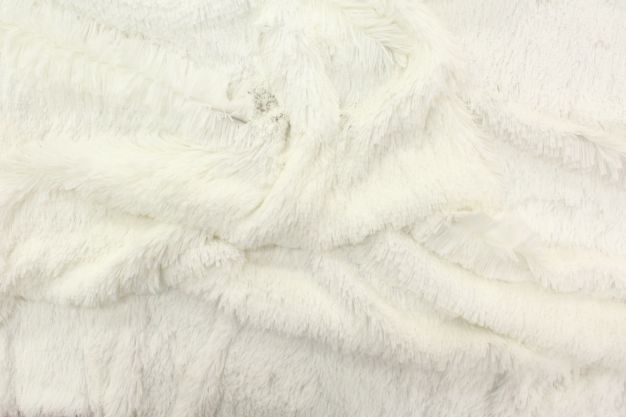 Alpaca