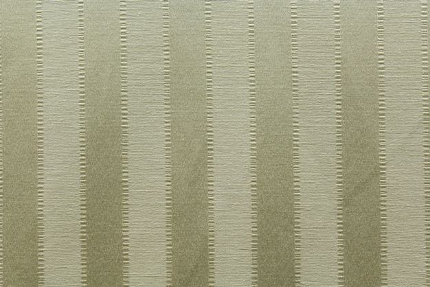 Dahlia Wheat