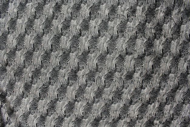Raccoon Fur