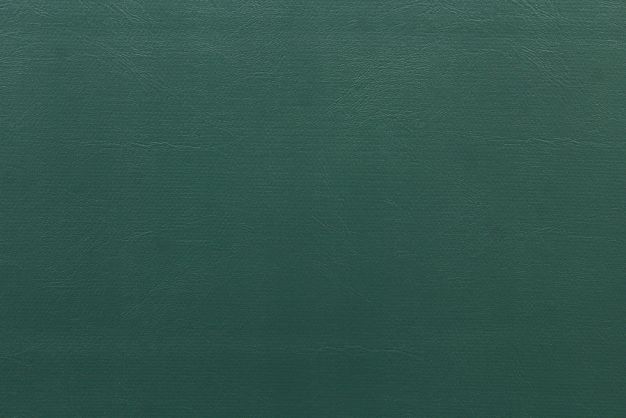 Vinyl Knit Back Hunter