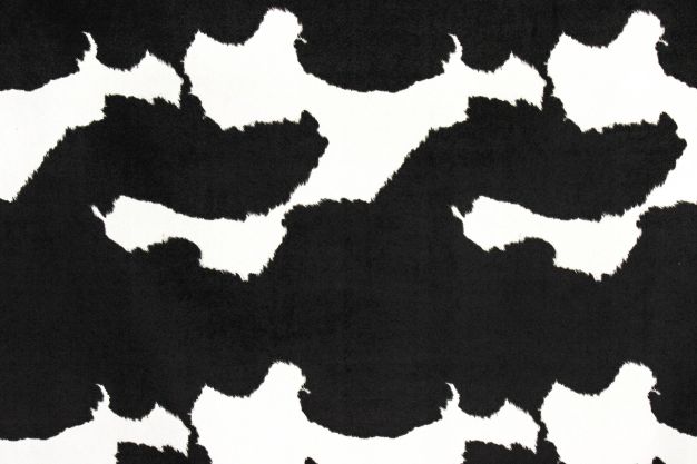 Holy Cow Black