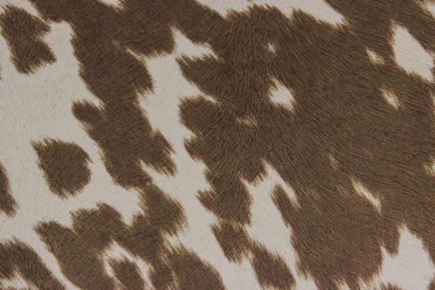 Udder Madness Palomino