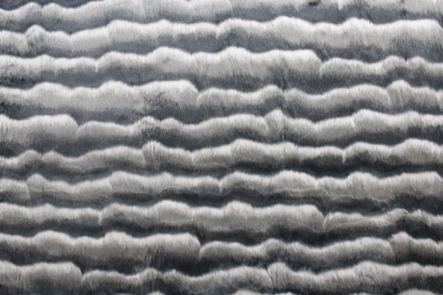 Lemur/Indri Charcoal
