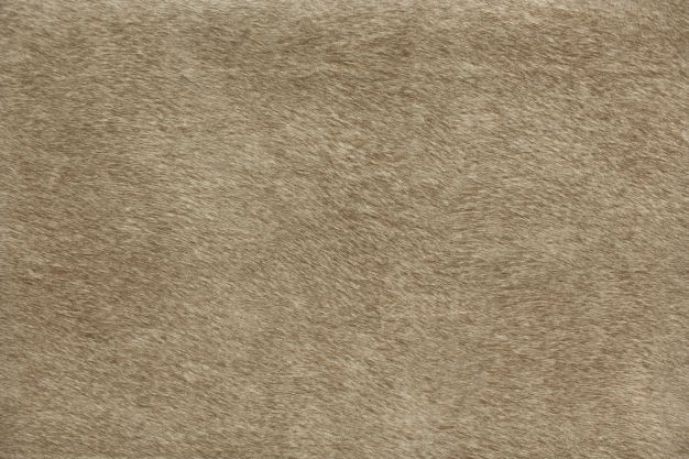 Deerskin Fur Fawn
