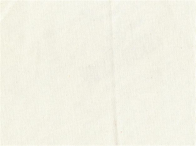 Covington Kanvastex 11 White