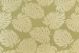 Bay Palm Palm 232
