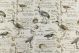 Birdsong Seamist