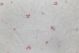 White Taffeta Pink Embroidery