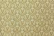 Colbert Gold 40