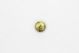 Nail Head 9H 7/16 Inch 19 Gold
