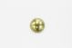 Nail Head 1052 7/8 Inch Brass Plated