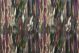 Sirocco Plumage