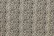Cheetah Brown Bk