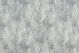Togoba-Puri Silver Frost