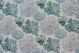 Corals 2731 DR-30