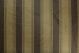 Shantung Cord 2009 5