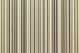 Tempotest Lido Stripe Black Beige 1038/81