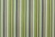 PK Lifestyles Draw the Line Spring