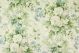 P Kaufmann Battersea Bouquet Mist Green