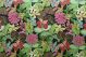 Jungle Fever Tropic 001