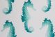 P Kaufmann ODL Seahorse Turquoise