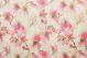 P Kaufman Esperanza Pink Blush
