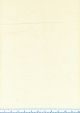 Shantung Beige