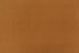 Polar Fleece Rust