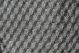 Raccoon Fur
