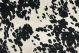Udder Madness Black