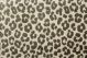 Leopard Ash
