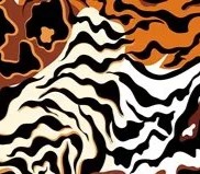 Animal Design/Faux Furs