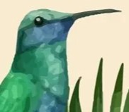 Birds/Bees/Insects