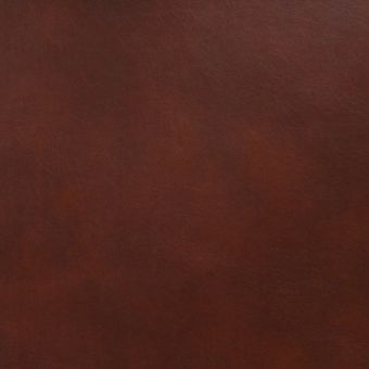 Cantina Recycled Leather  Fabric