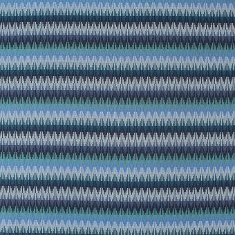 Sunbrella Valley Indoor and Outdoor  Fabric