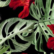 Beautiful watercolor pattern with plumeria and hibiscus  flowers, bird tukan. Illustration.