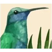 Birds/Bees/Insects