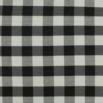 Boxer with Crypton Home Finish Fabric