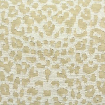 Gato with Crypton Home Finish  Fabric