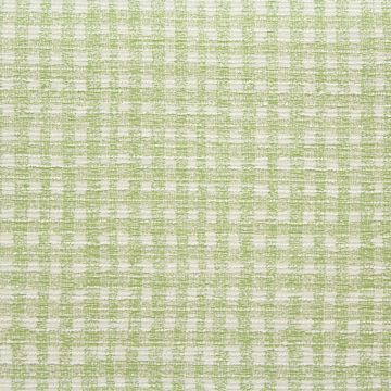 Farren with Crypton Home Finish  Fabric