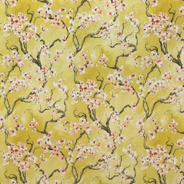 Sakura Curry 806  Fabric