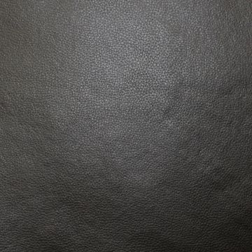 Champion Black Fabric