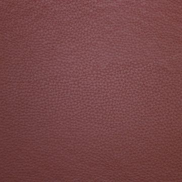 Champion Terracotta Fabric