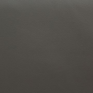 Champion Mercury  Fabric