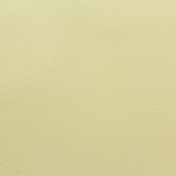 Champion Ice Cream   Fabric