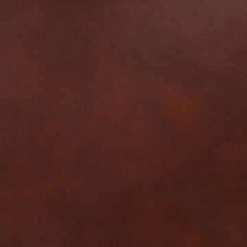 Cantina Recycled Leather  Fabric