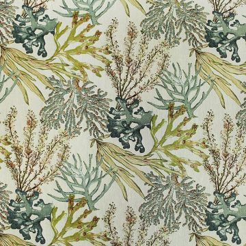 Coral Reef Caribbean Fabric