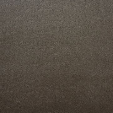 Castillo Java with I-Clean Fabric