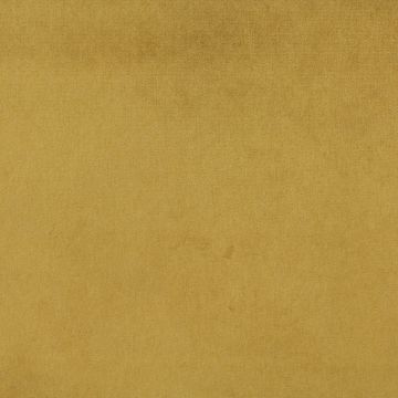 Arraya Amber  Fabric